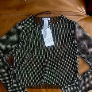 Zara - Shimmer Mesh Crop Top
Large, NWT
iridescent long sleeve
